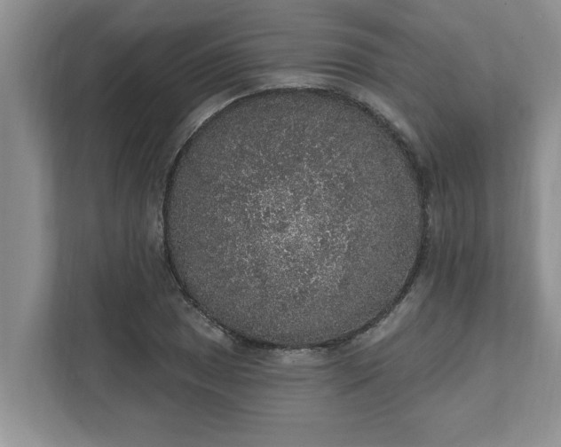 X0000111831025200908061151