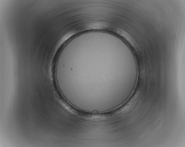 X0000111831026200908061151