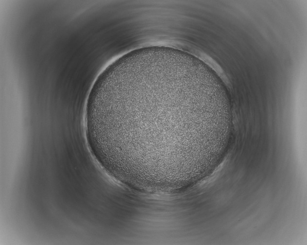 X0000111831028200908061151