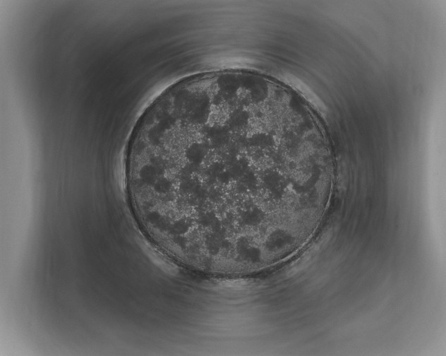 X0000111831031200908061151