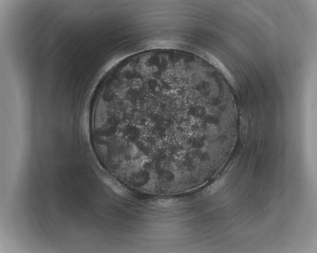 X0000111831035200908061151