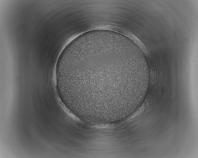 X0000111831036200908061151