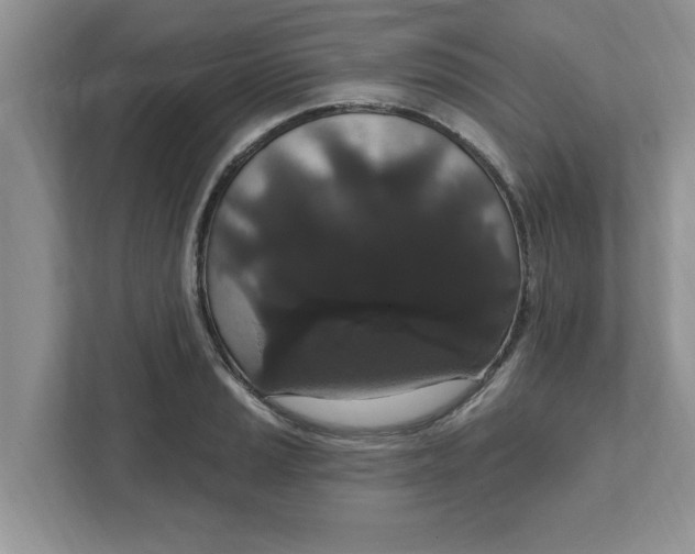 X0000111831037200908061151