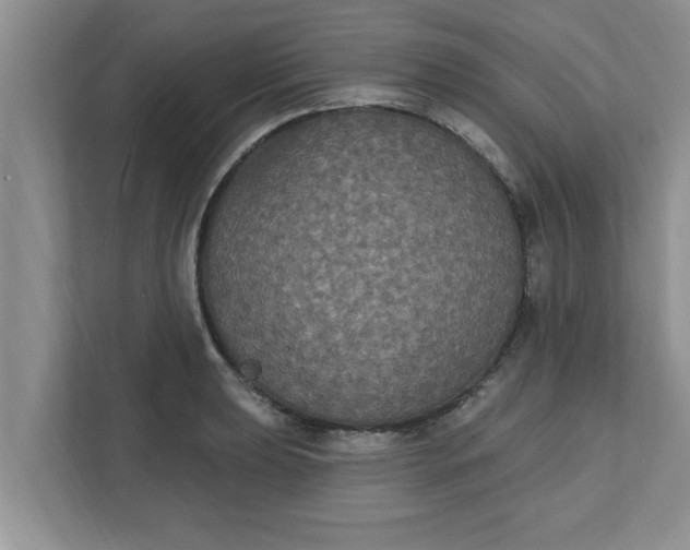 X0000111831039200908061151