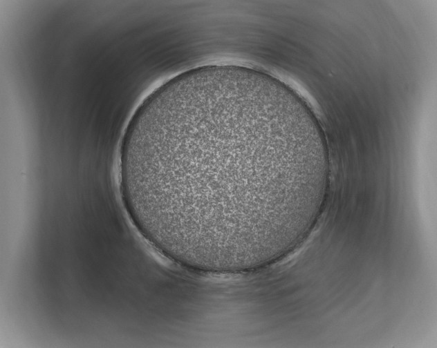 X0000111831040200908061151