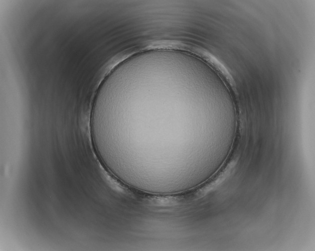 X0000111831041200908061151