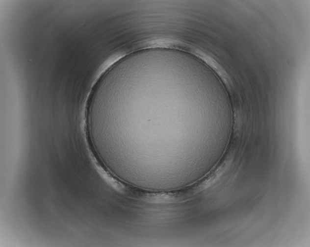X0000111831042200908061151