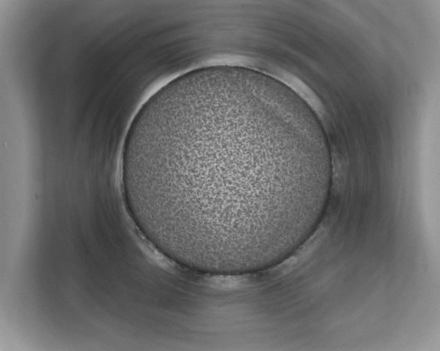 X0000111831044200908061151