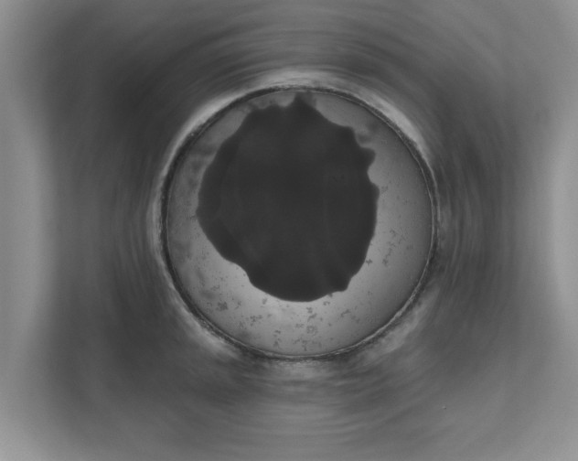 X0000111831045200908061151