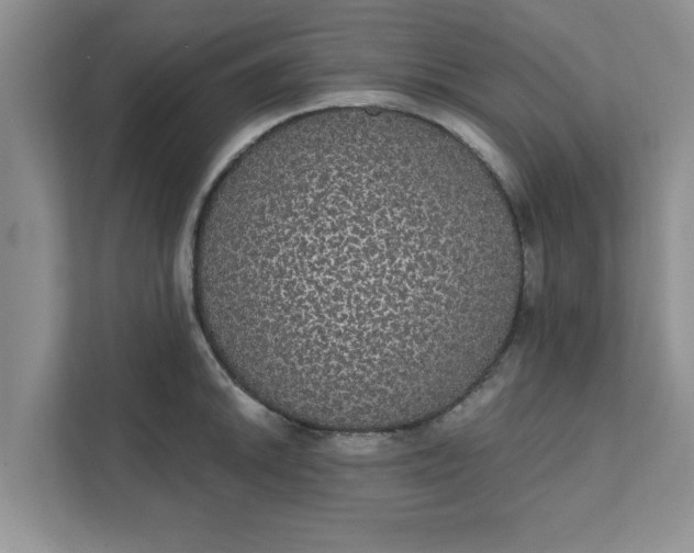 X0000111831046200908061151