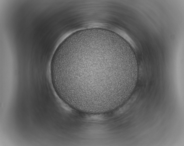 X0000111831047200908061151