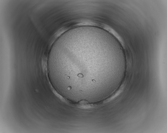 X0000111831049200908061151