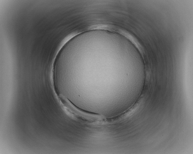 X0000111831050200908061151