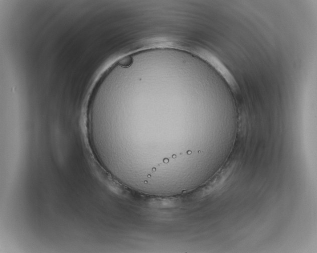 X0000111831051200908061151