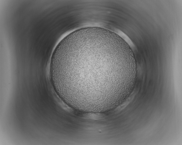 X0000111831052200908061151