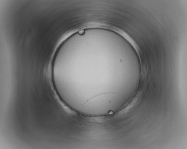 X0000111831053200908061151
