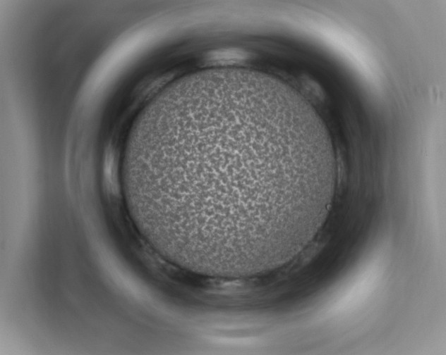X0000111831054200908061151