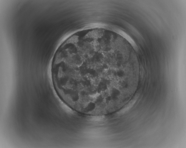X0000111831055200908061151