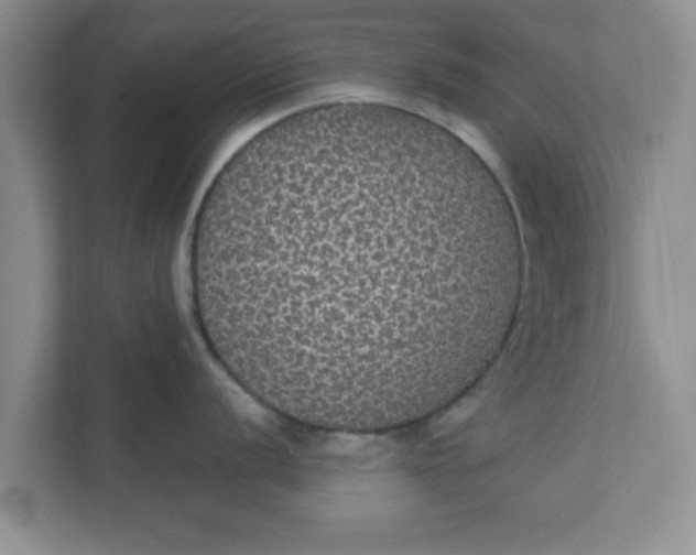 X0000111831056200908061151