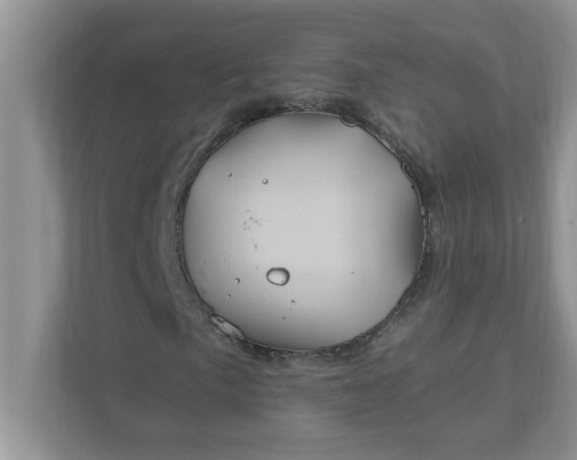 X0000111831057200908061151