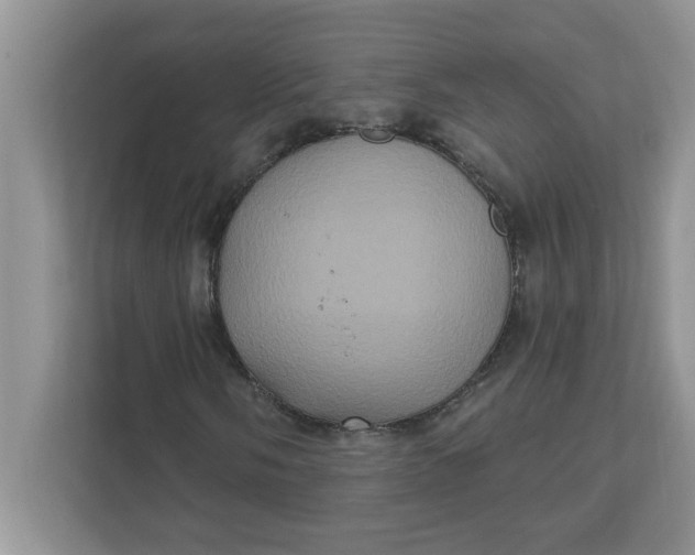X0000111831058200908061151