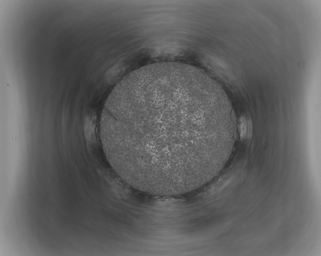 X0000111831059200908061151