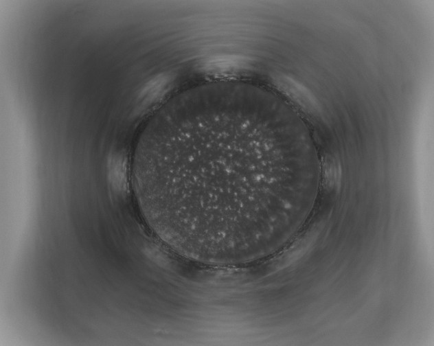 X0000111831060200908061151