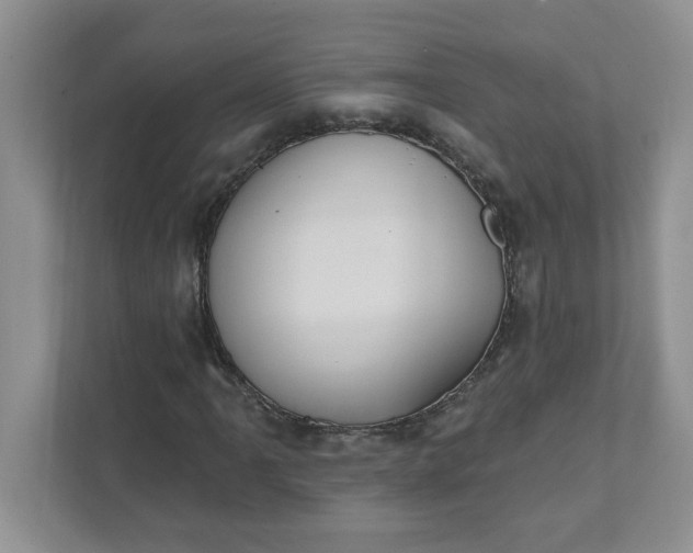 X0000111831061200908061151