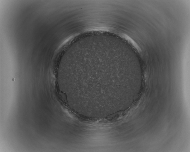 X0000111831064200908061151