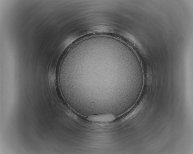 X0000111831065200908061151