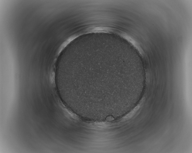 X0000111831066200908061151