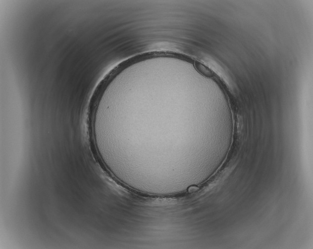 X0000111831068200908061151
