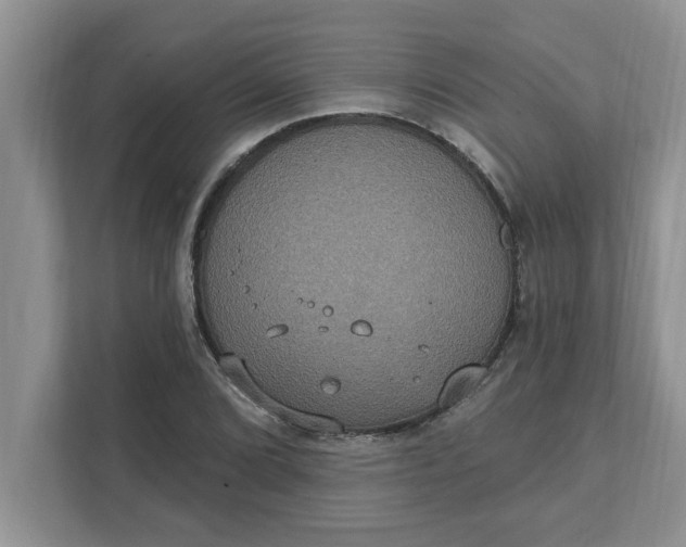 X0000111831072200908061151