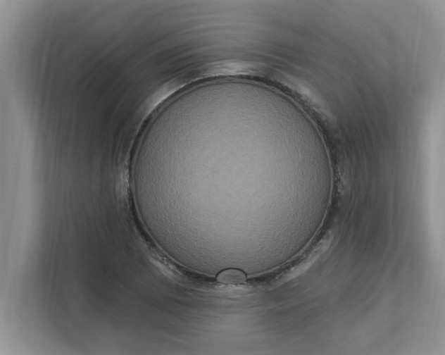X0000111831073200908061151