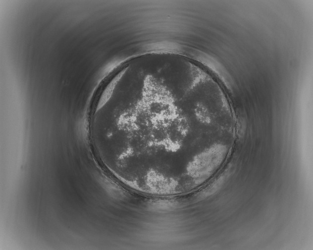 X0000111831074200908061151