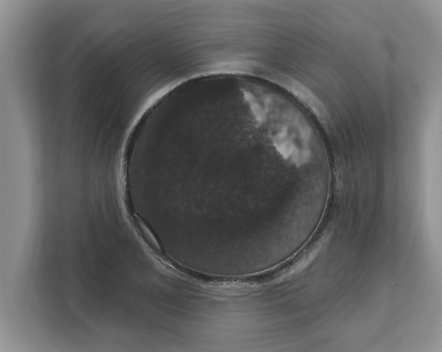 X0000111831077200908061151