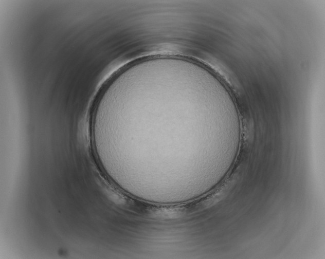 X0000111831078200908061151