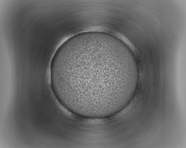 X0000111831079200908061151