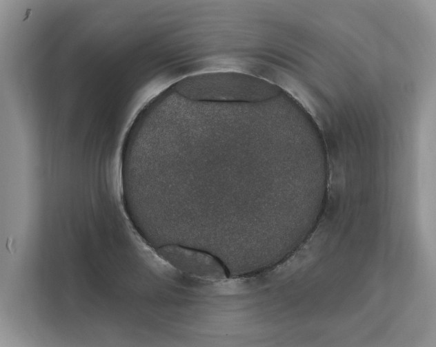 X0000111831080200908061151
