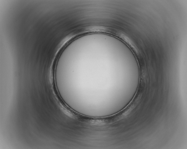 X0000111831082200908061151