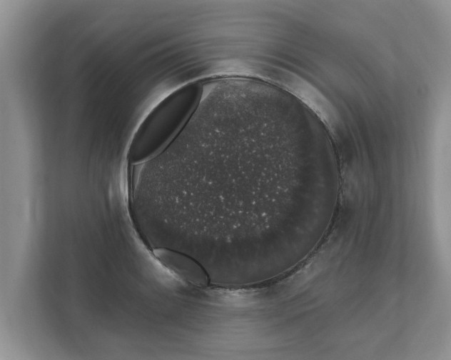 X0000111831084200908061151