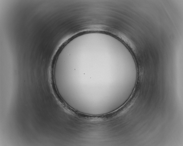 X0000111831085200908061150