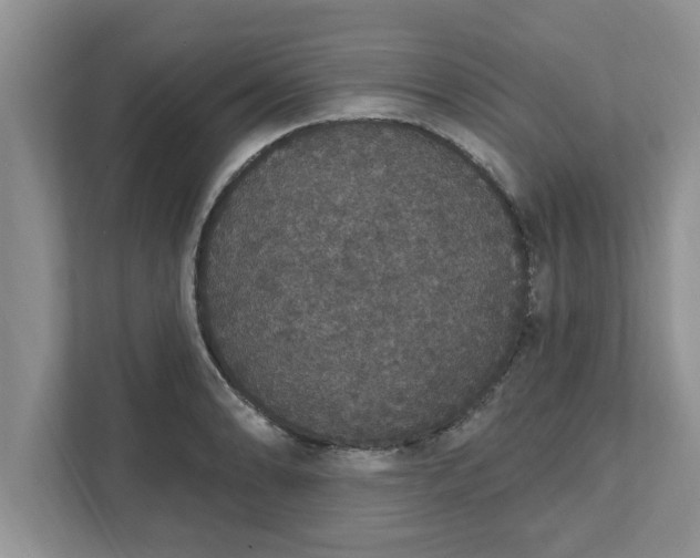 X0000111831086200908061150