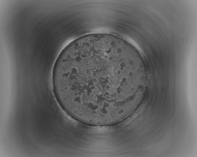 X0000111831087200908061150