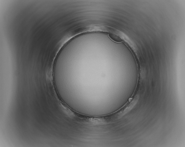 X0000111831089200908061150