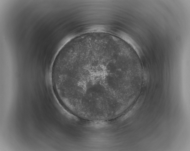 X0000111831090200908061150