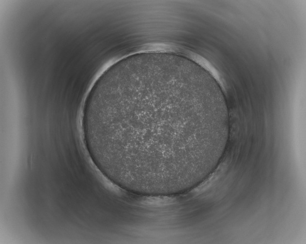 X0000111831091200908061150