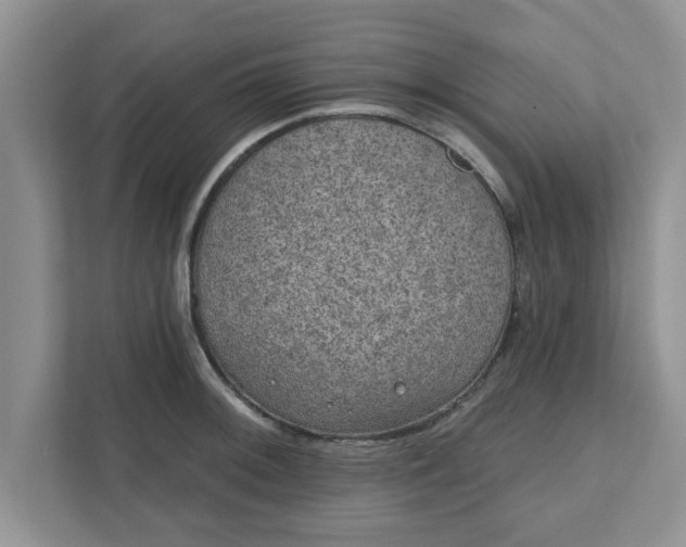 X0000111831092200908061150