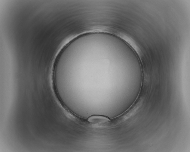 X0000111831093200908061150
