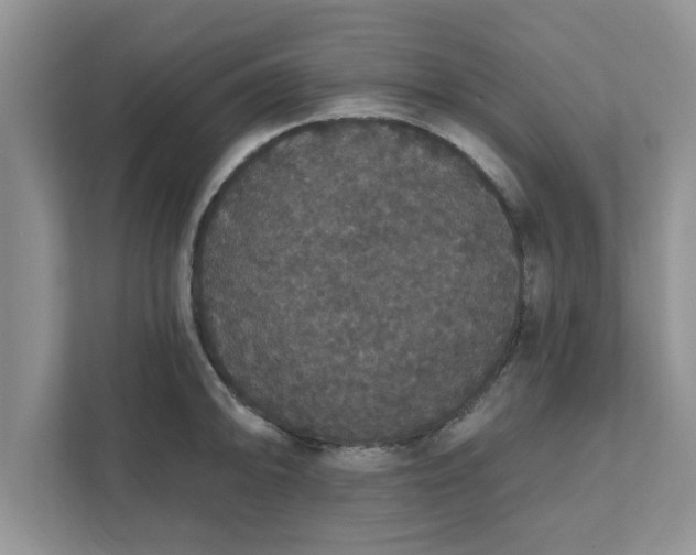 X0000111831094200908061150